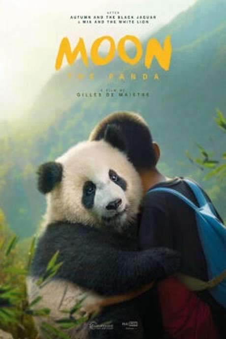 Moon The Panda